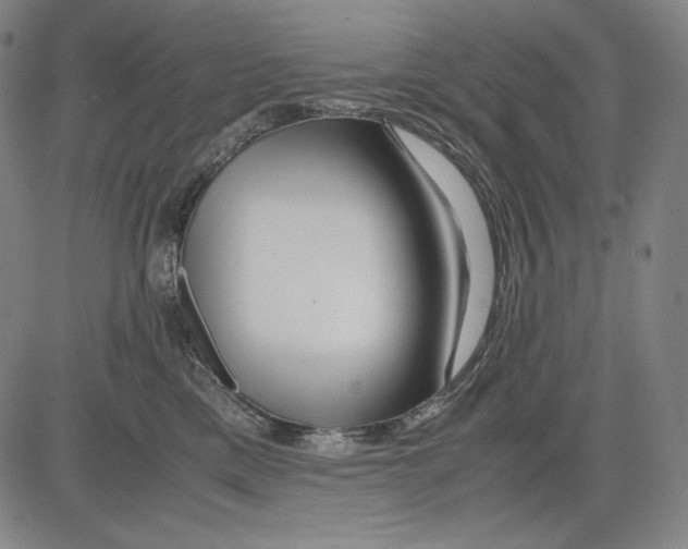 X0000081610425200702121619