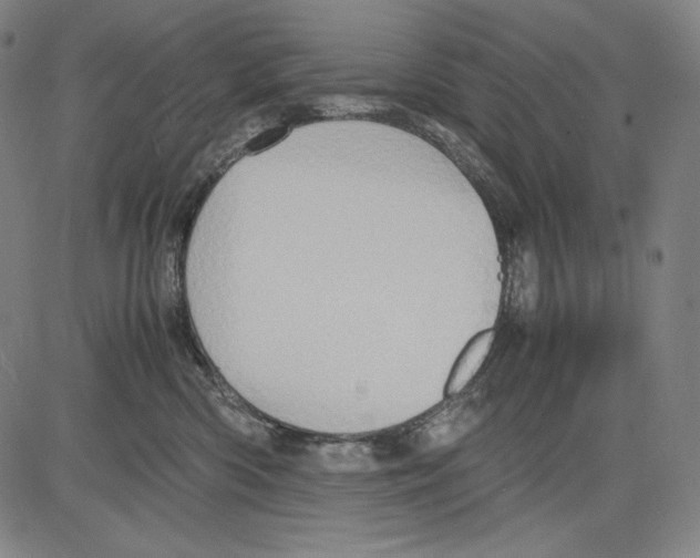 X0000081610426200702121619