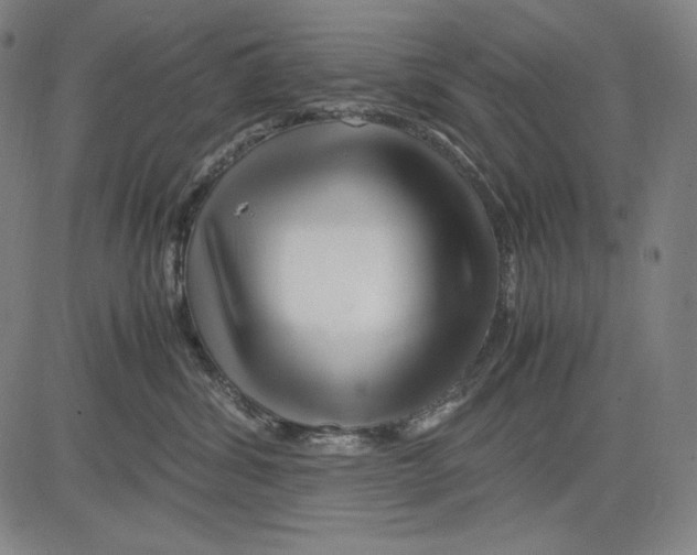 X0000081610428200702121619