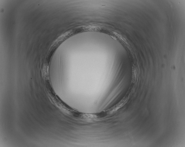 X0000081610429200702121619