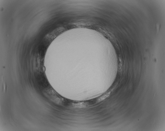 X0000081610430200702121619