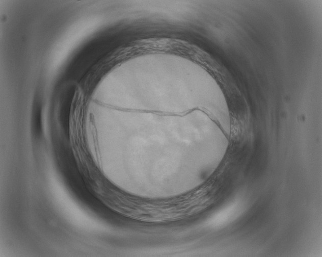 X0000081610431200702121619