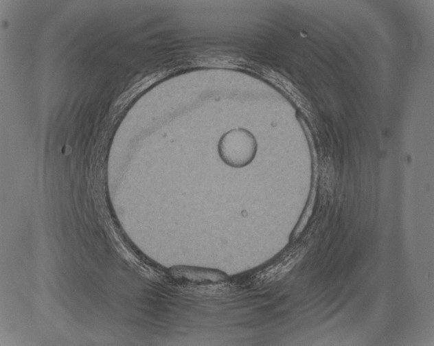 X0000081610433200702121618