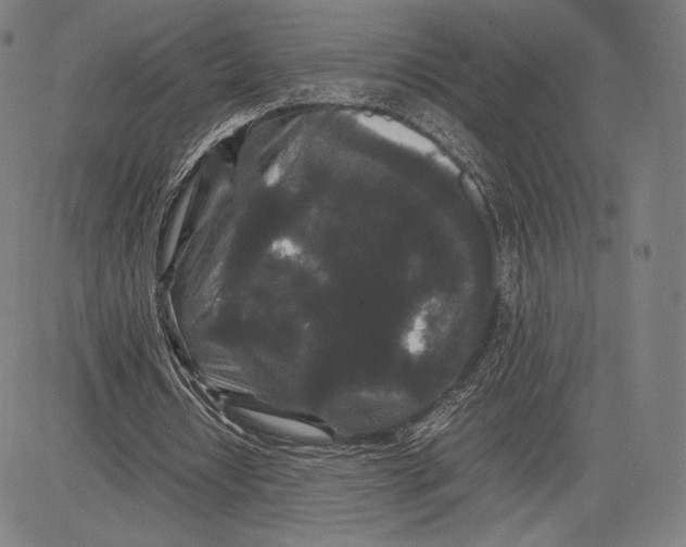 X0000081610434200702121618