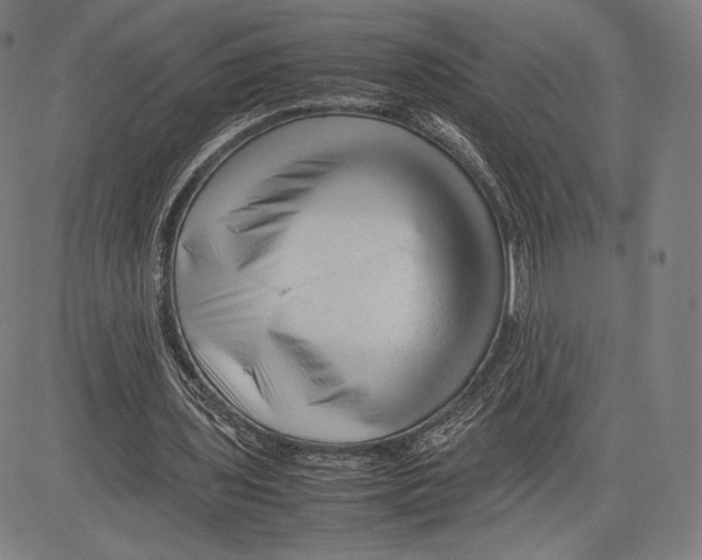 X0000081610435200702121618