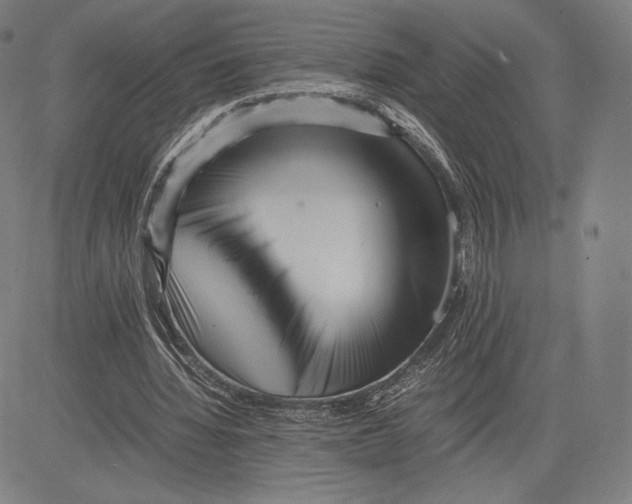 X0000081610436200702121618