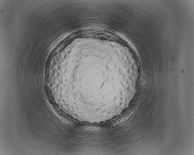 X0000081610437200702121618