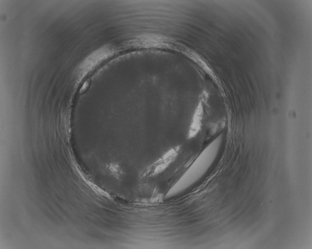 X0000081610438200702121618