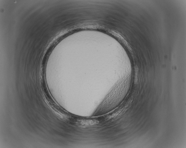 X0000081610439200702121618