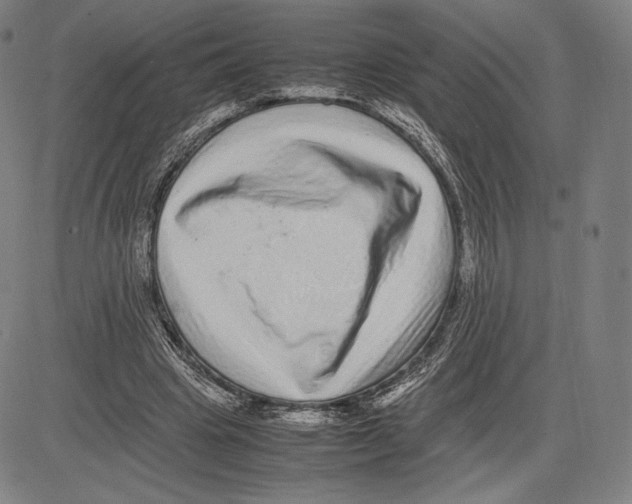 X0000081610441200702121619