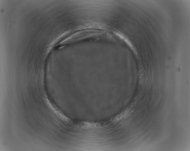 X0000081610442200702121619