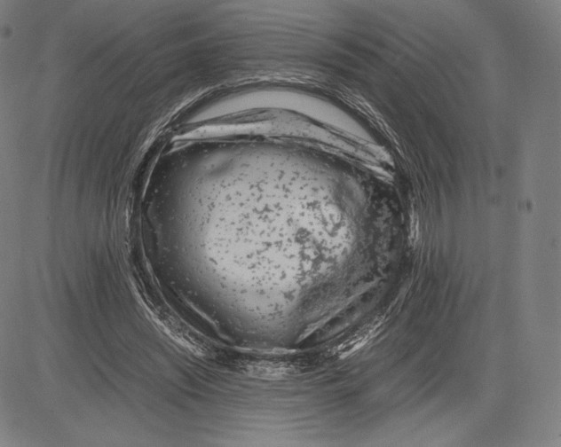 X0000081610444200702121619