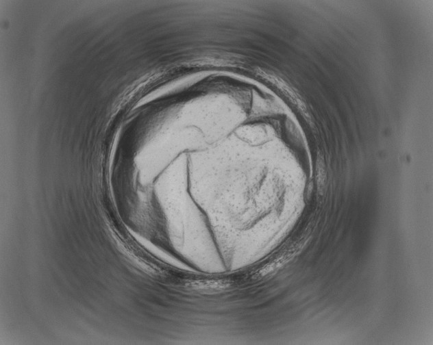 X0000081610445200702121619