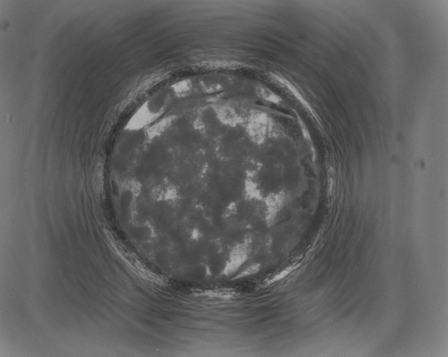 X0000081610447200702121619