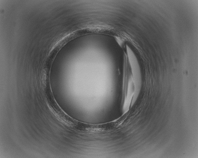 X0000081610448200702121619