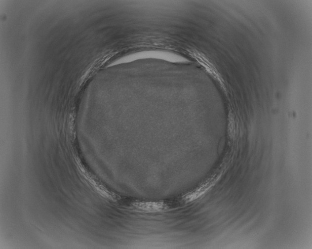 X0000081610449200702121619