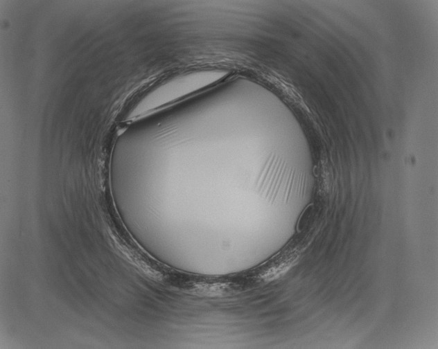 X0000081610450200702121619