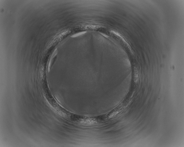 X0000081610451200702121619