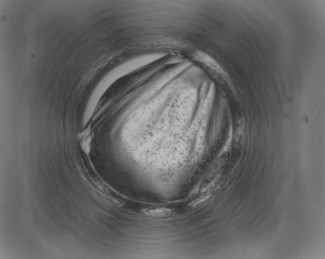 X0000081610452200702121619