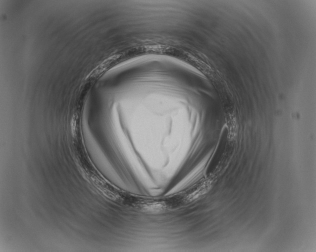 X0000081610456200702121619