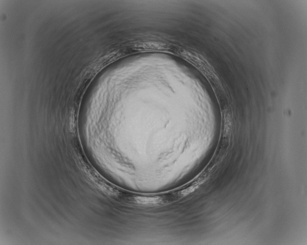 X0000081610457200702121619