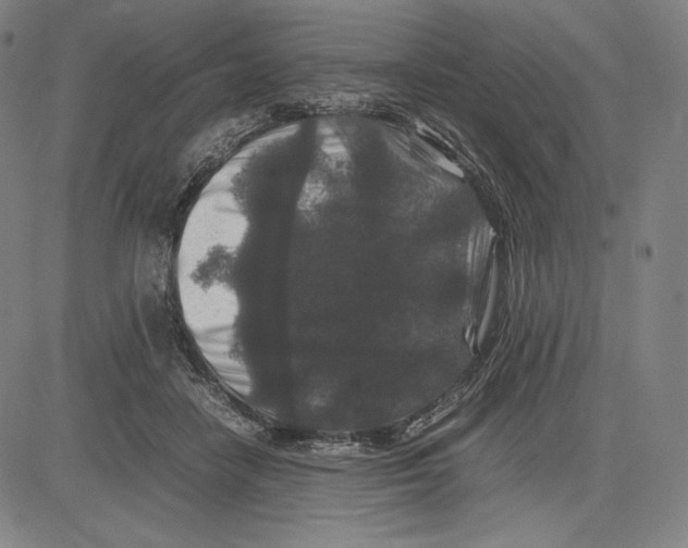 X0000081610458200702121619