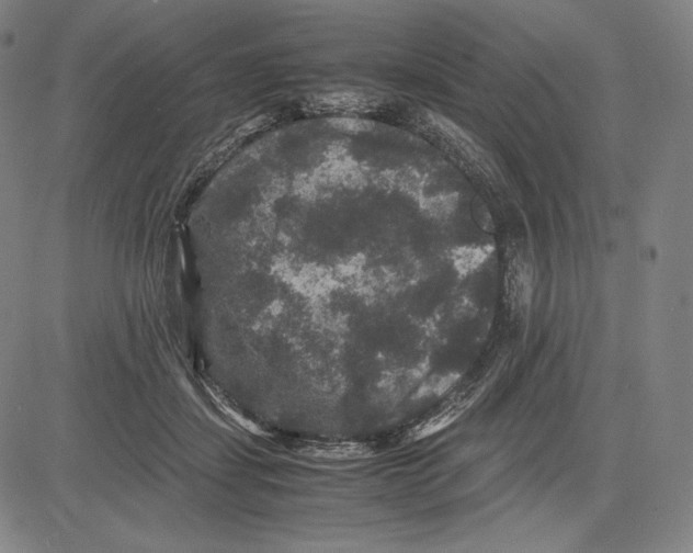 X0000081610459200702121619