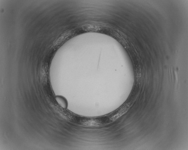 X0000081610460200702121619