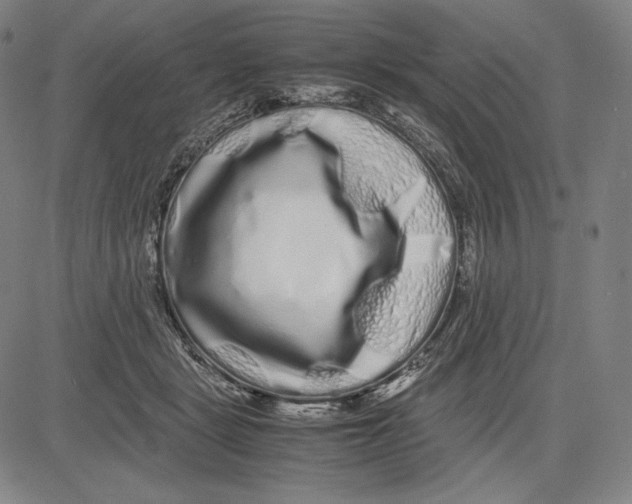 X0000081610461200702121619