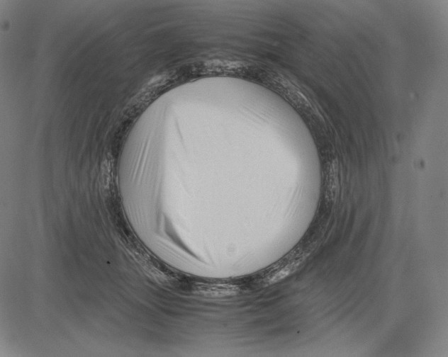 X0000081610463200702121619