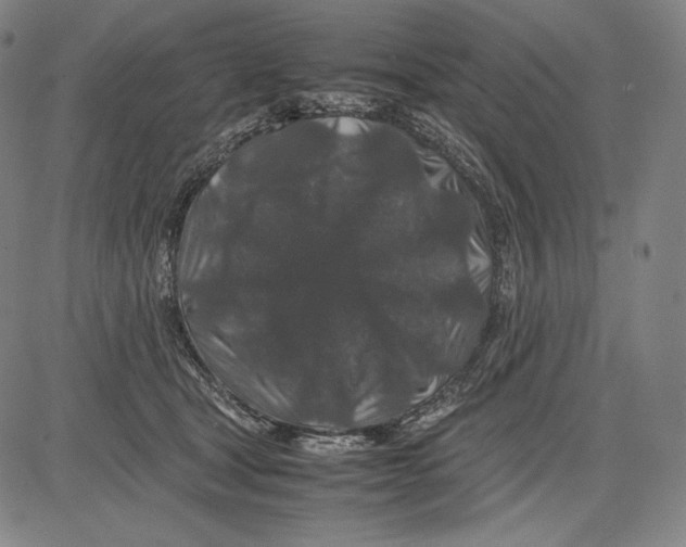 X0000081610465200702121619