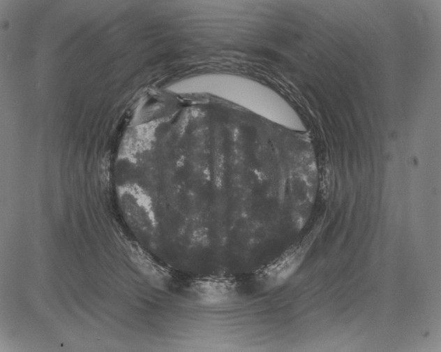 X0000081610466200702121619