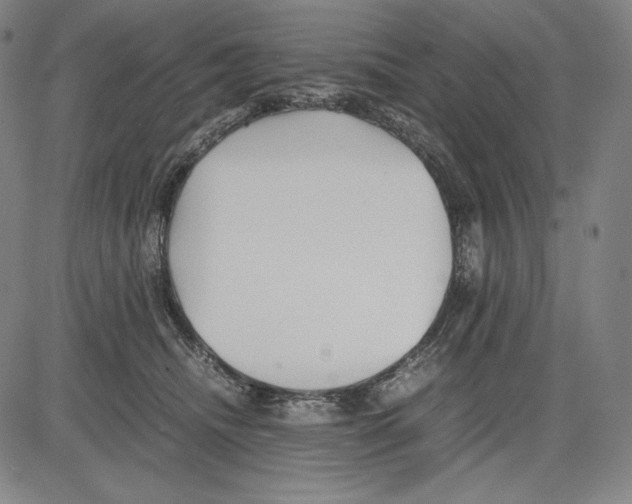 X0000081610468200702121619