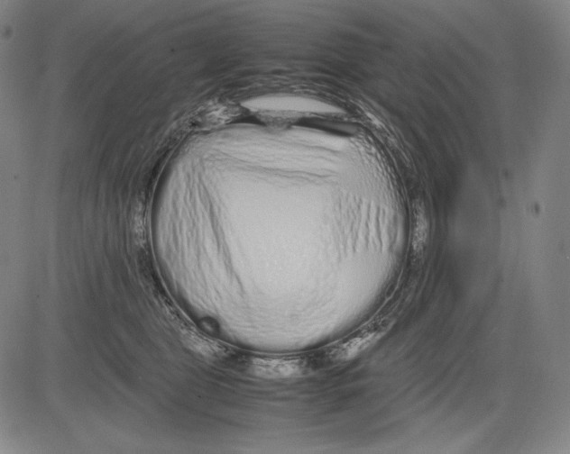 X0000081610469200702121619