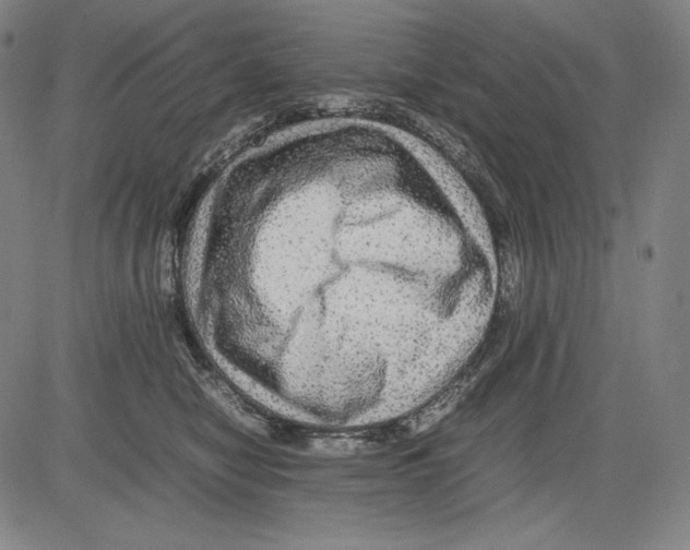 X0000081610470200702121619