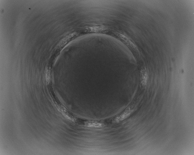 X0000081610471200702121619