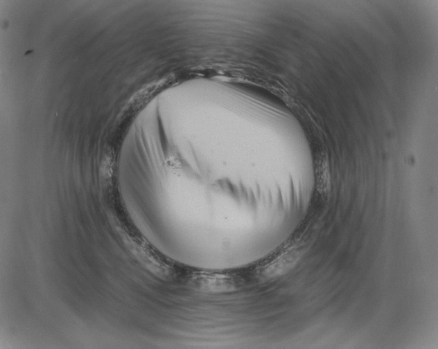 X0000081610472200702121619