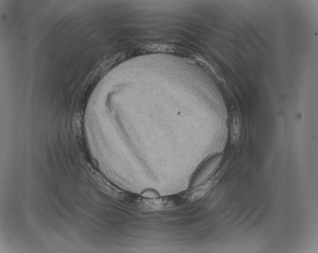 X0000081610473200702121619