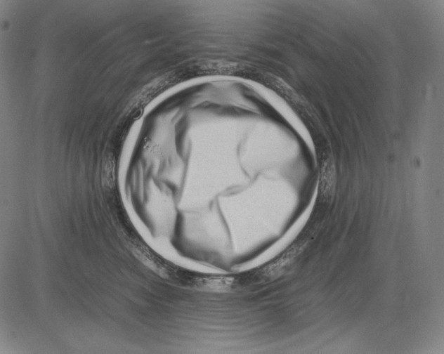 X0000081610474200702121619