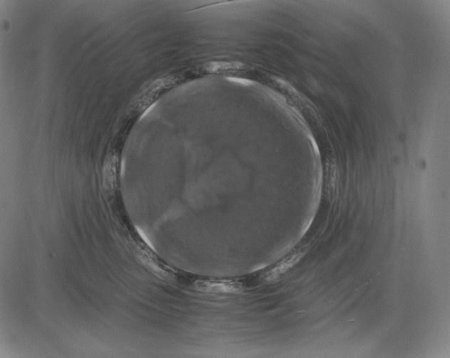 X0000081610475200702121619