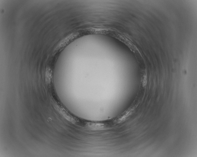 X0000081610476200702121619