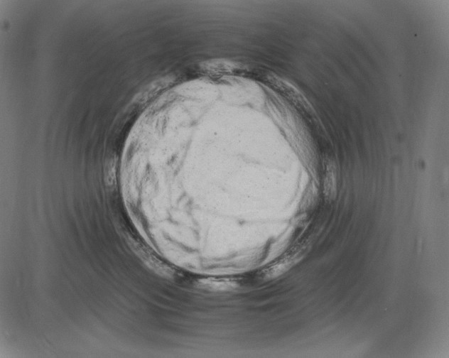 X0000081610477200702121619