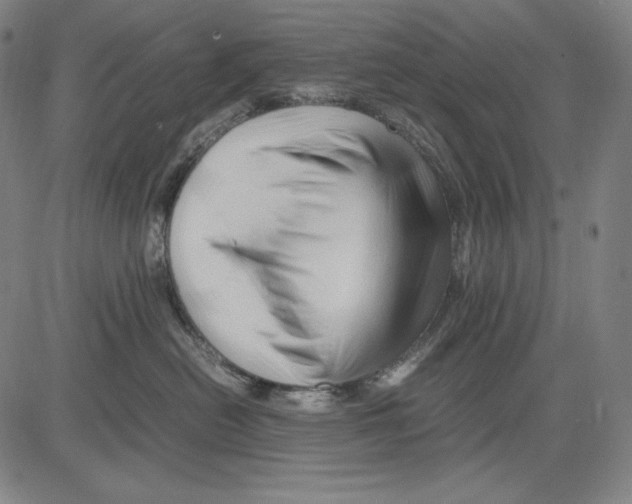 X0000081610478200702121619