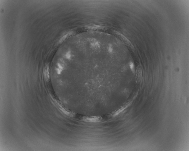 X0000081610479200702121619