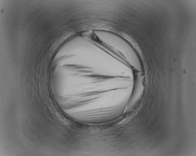 X0000081610481200702121618