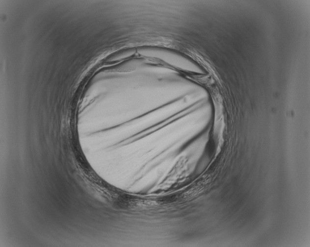 X0000081610483200702121618