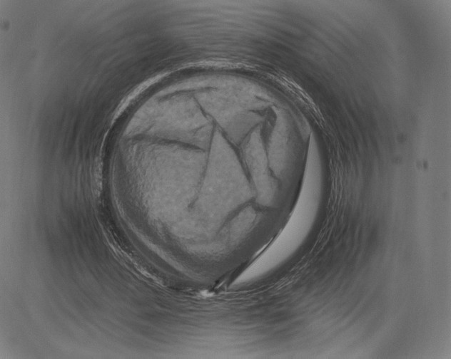 X0000081610484200702121618