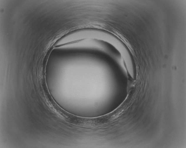 X0000081610485200702121618