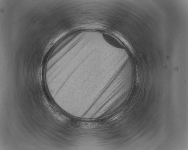 X0000081610486200702121618