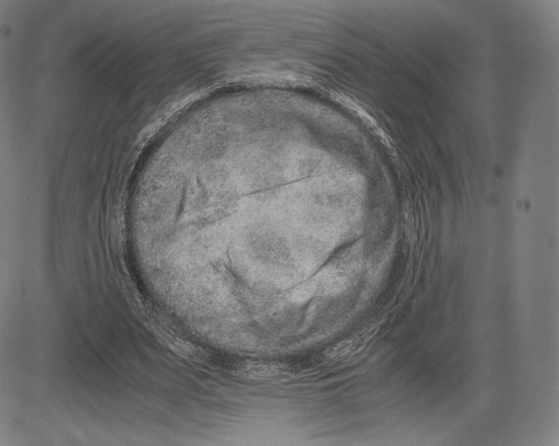 X0000081610487200702121618